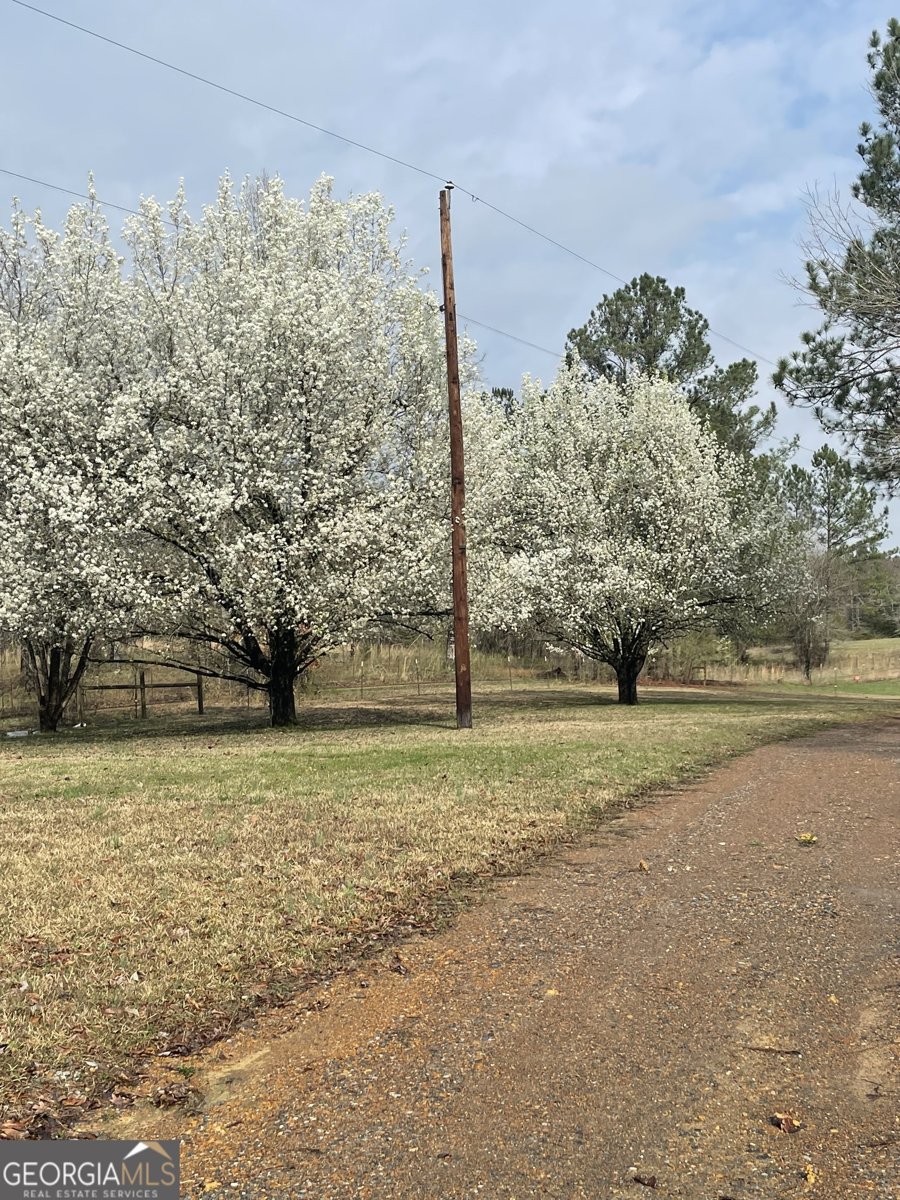 675 McGee Bend Road Cave Spring - Photo 68