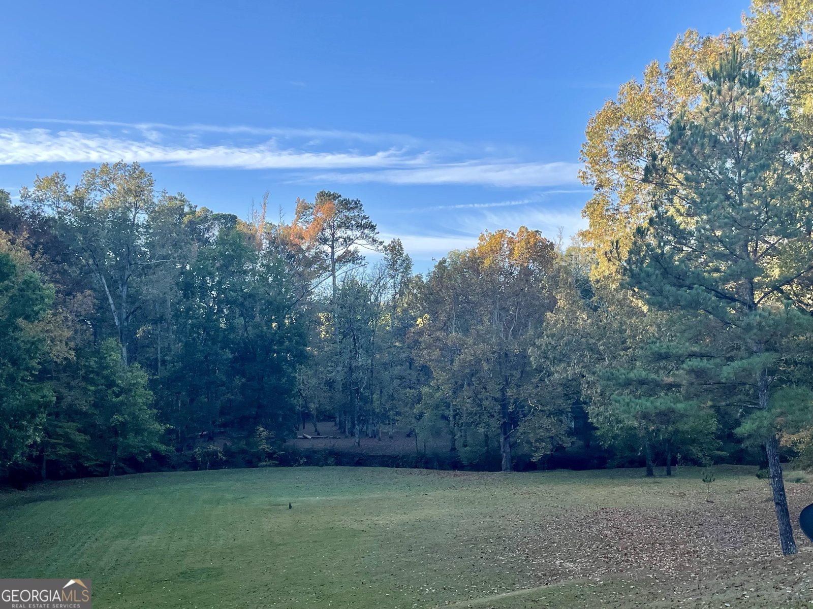 675 McGee Bend Road Cave Spring - Photo 69