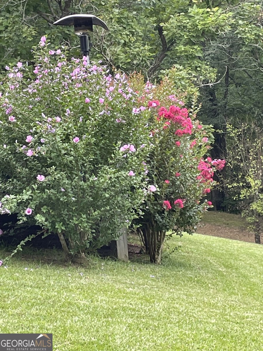 675 McGee Bend Road Cave Spring - Photo 70