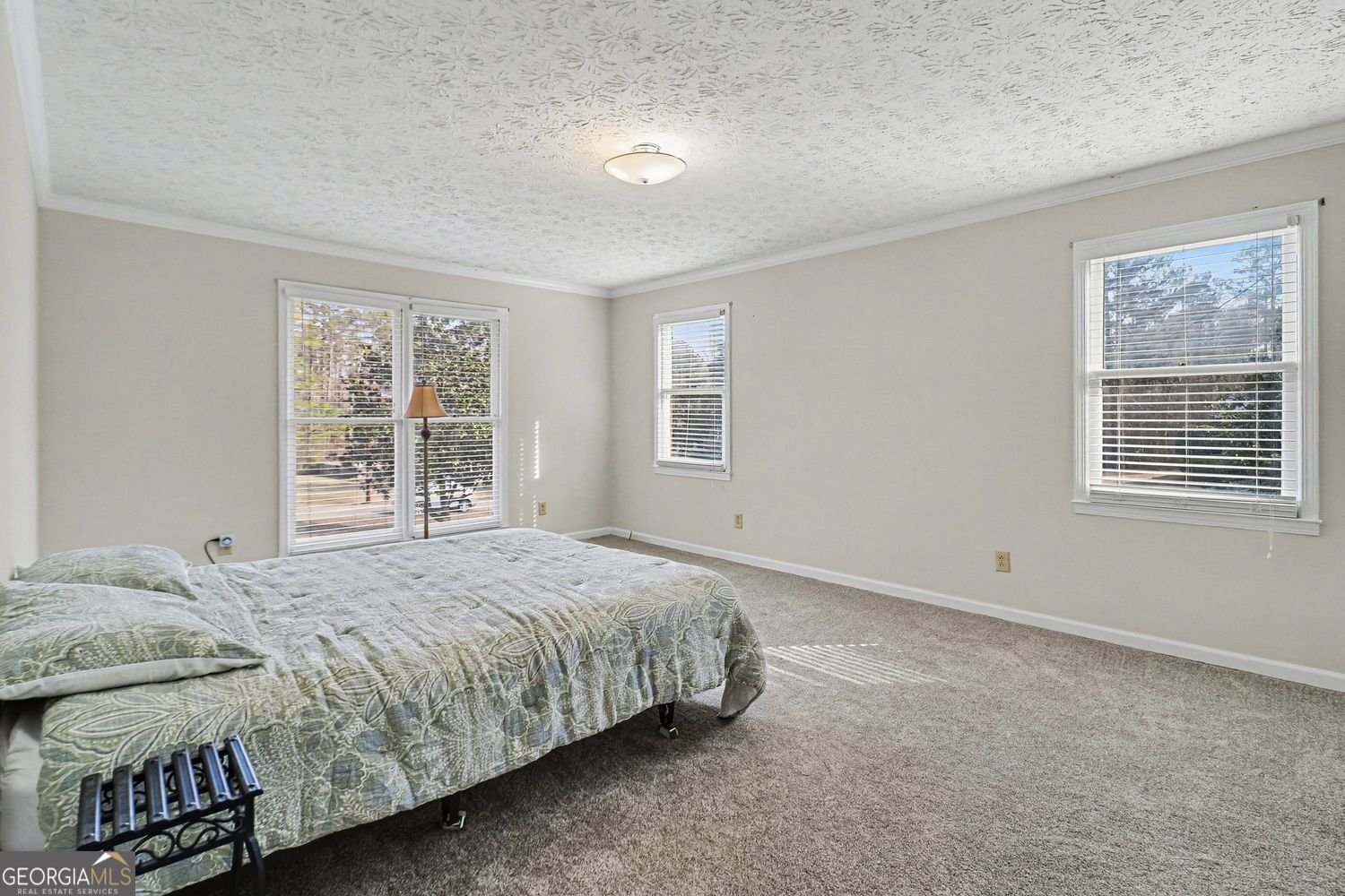 42 Camellia Circle Newnan - Photo 23