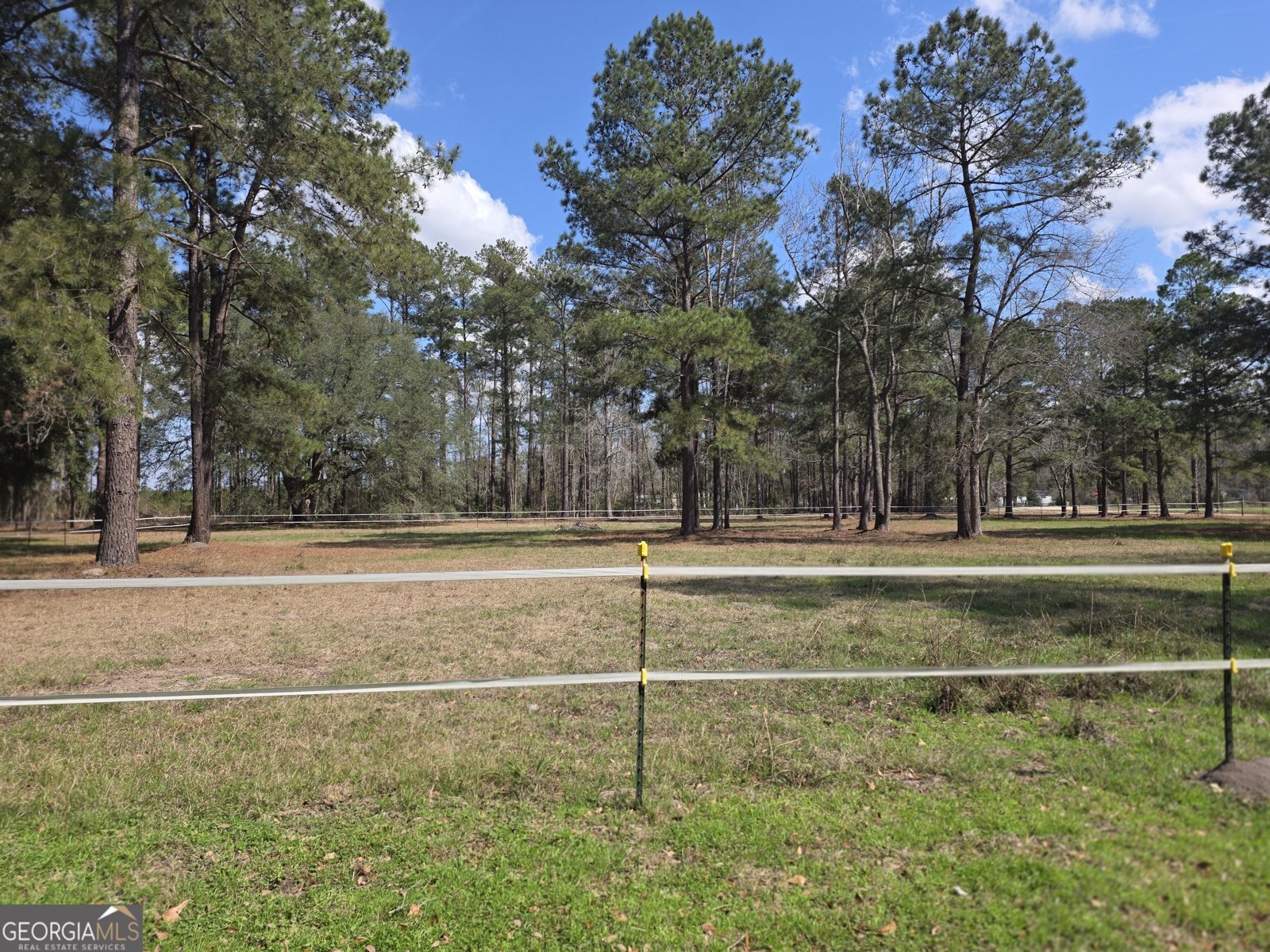 130 Porter Road Guyton - Photo 31