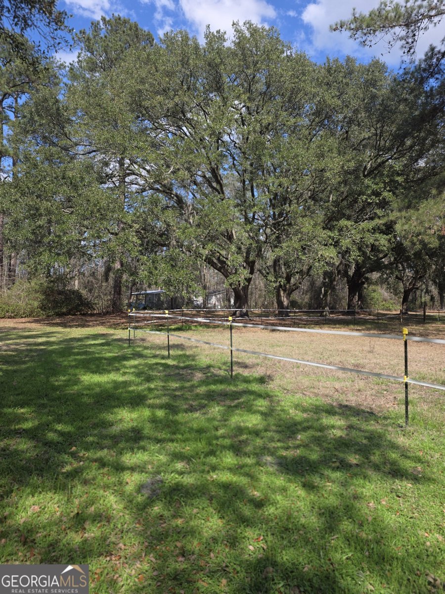 130 Porter Road Guyton - Photo 33