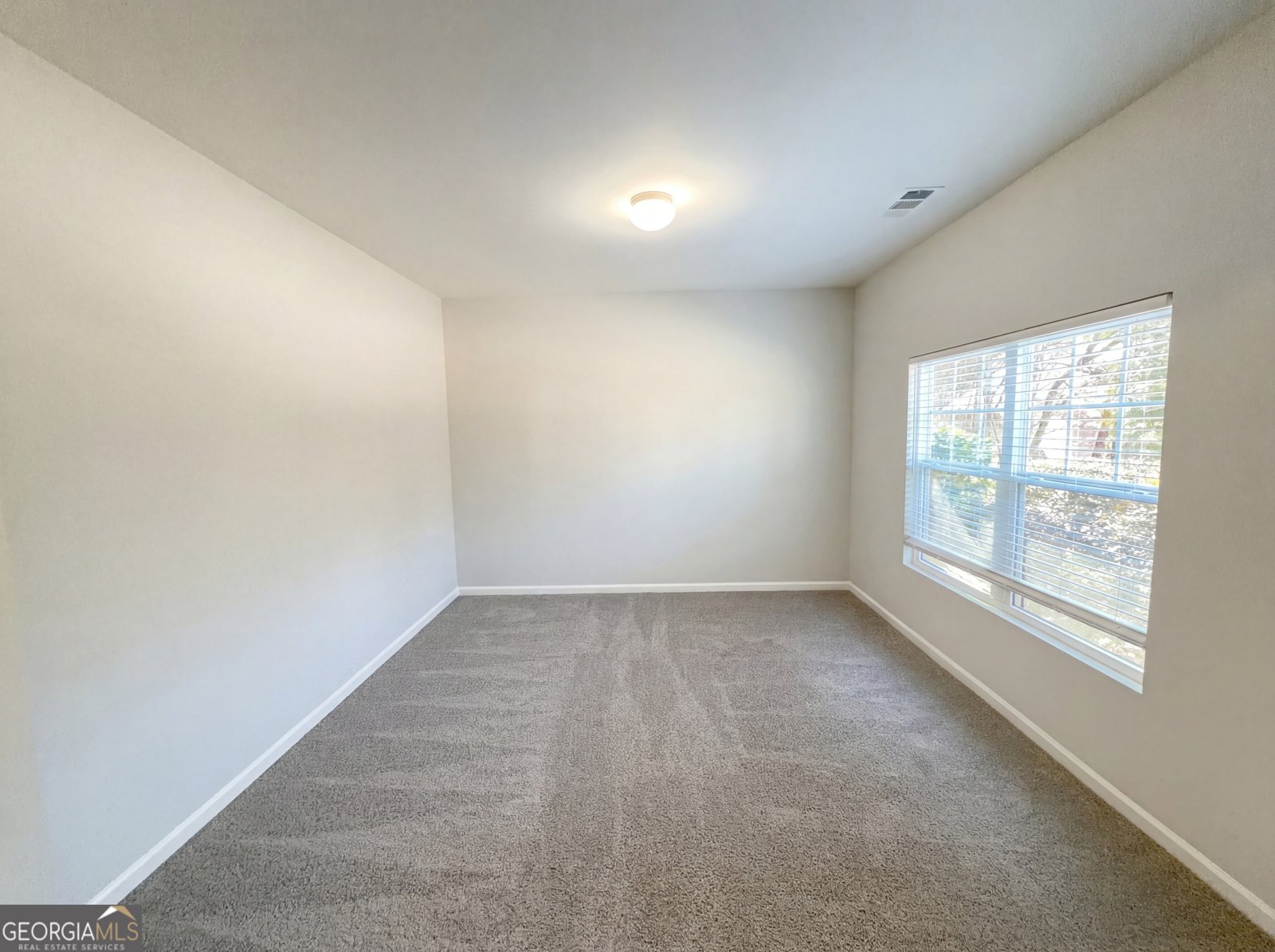 943 Liberty Bell Run Hoschton - Photo 20