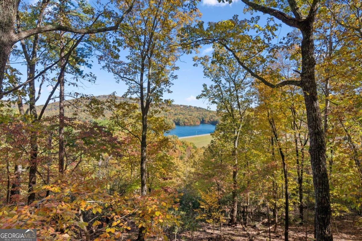 101 Treetopper Circle Jasper - Photo 25