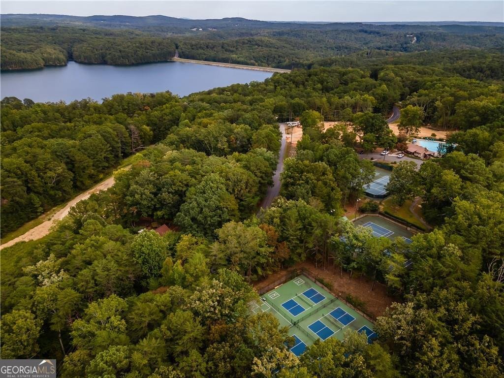 143 Sunset Peak Court Waleska - Photo 57