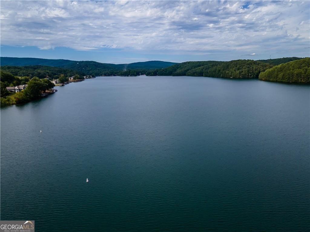 143 Sunset Peak Court Waleska - Photo 61