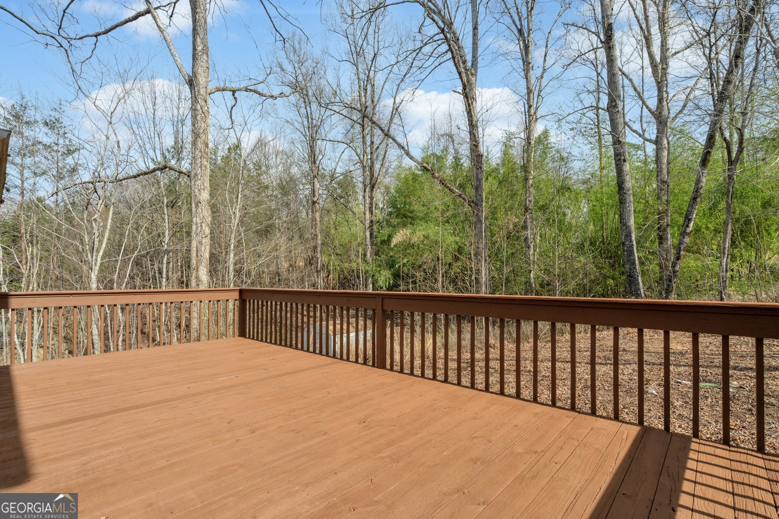 169 Leafview Drive Cleveland - Photo 57