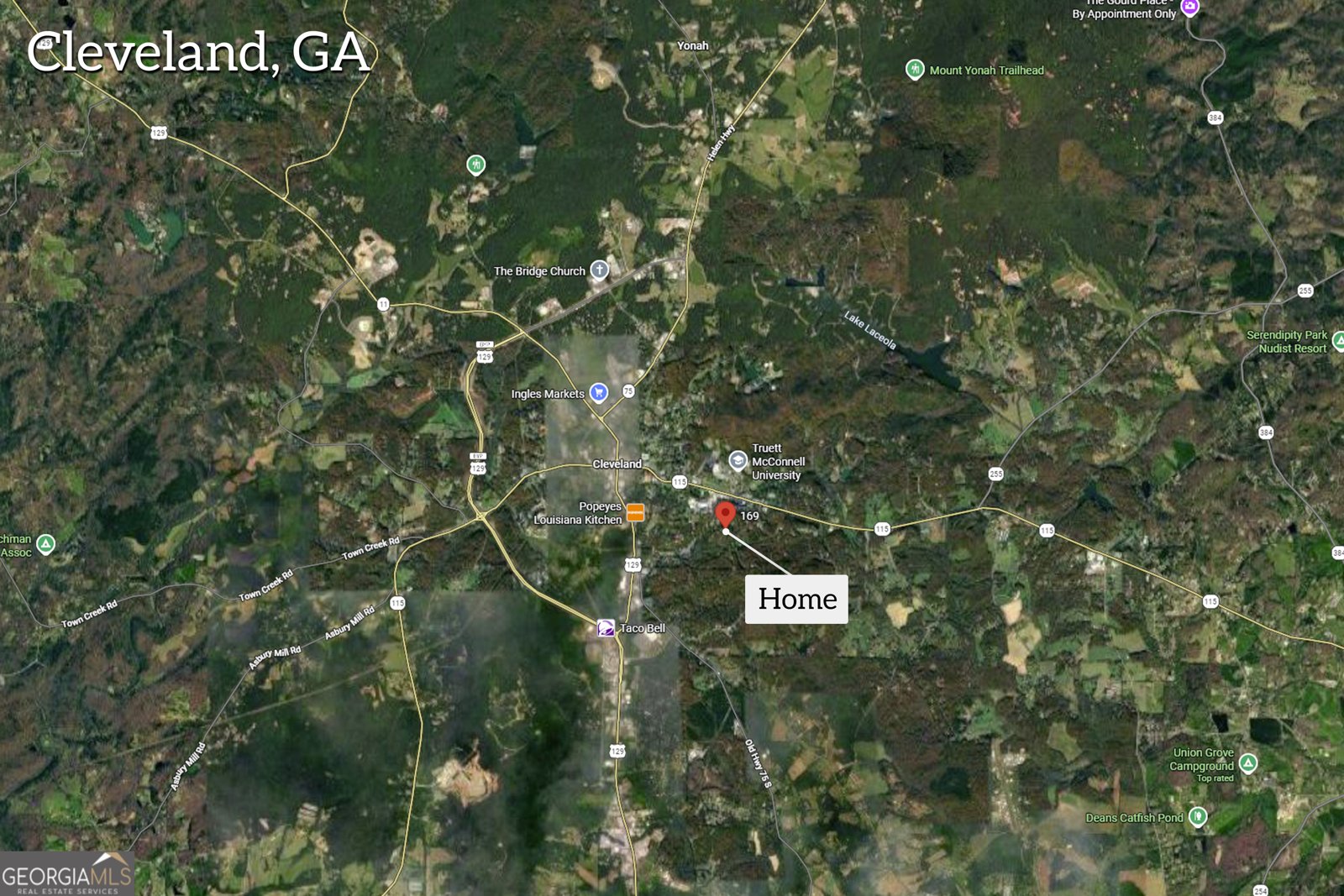 169 Leafview Drive Cleveland - Photo 63