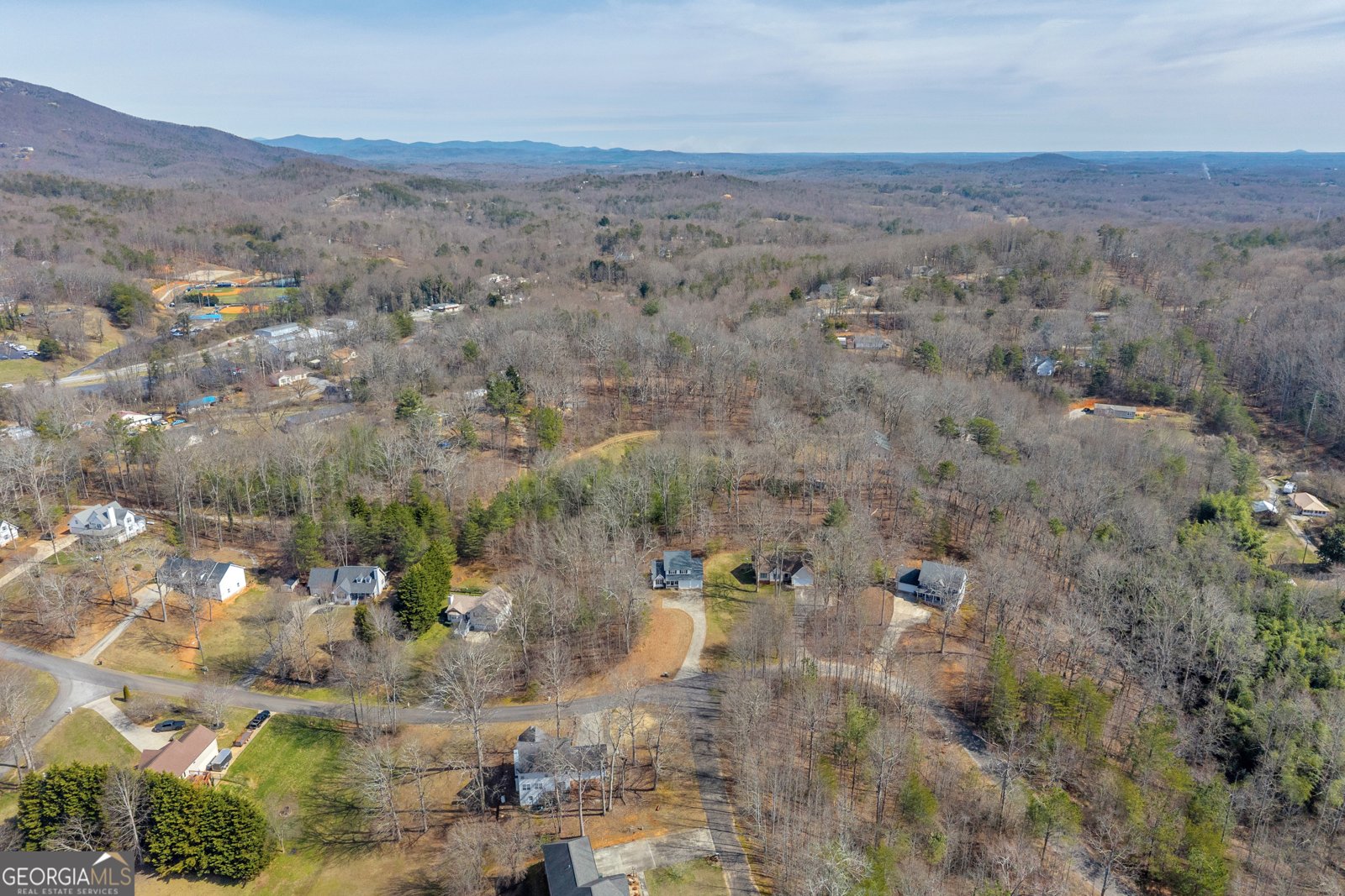 169 Leafview Drive Cleveland - Photo 64