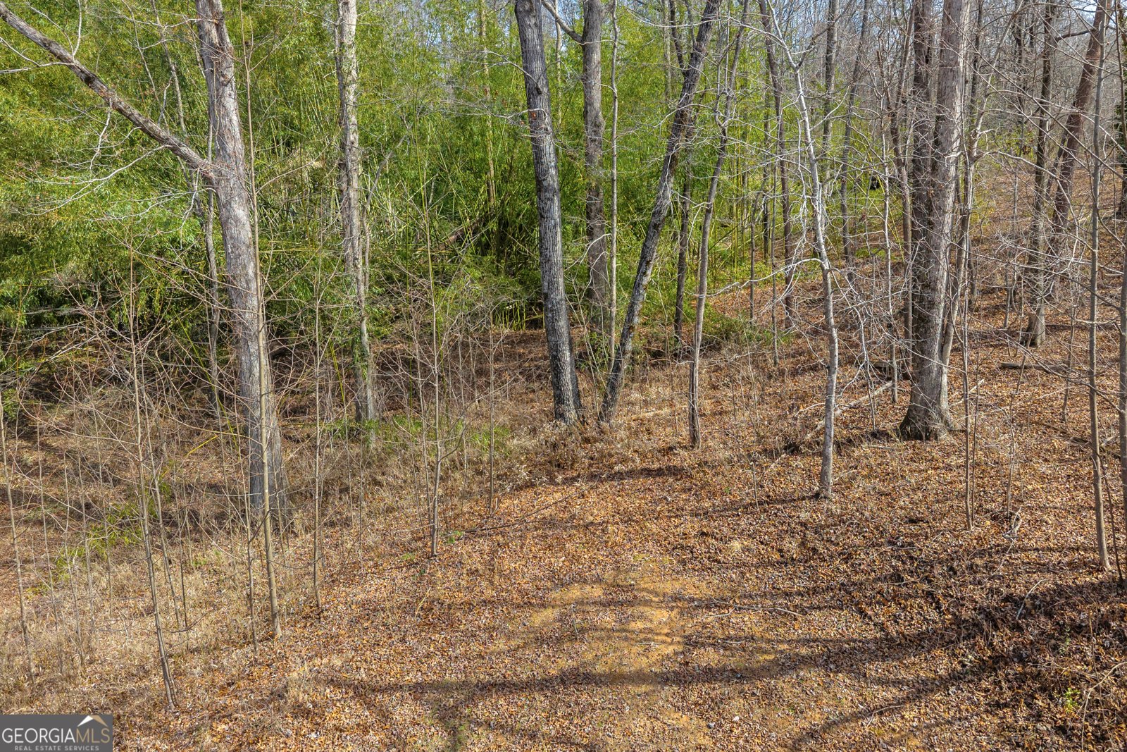 169 Leafview Drive Cleveland - Photo 7