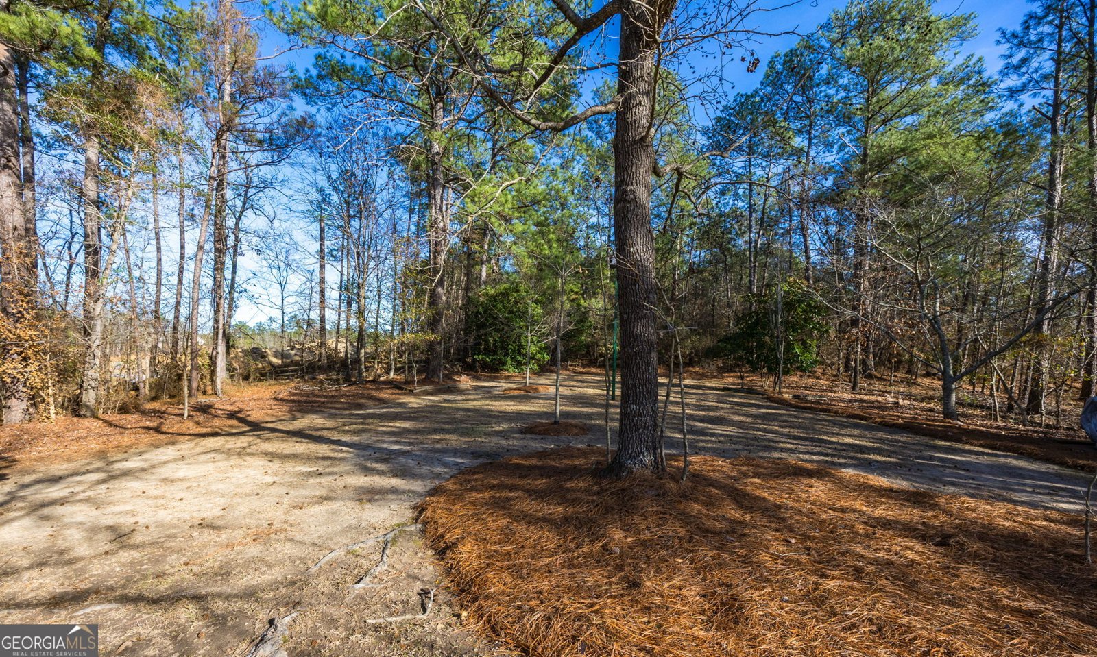 312 Pinnacle Park Macon - Photo 57