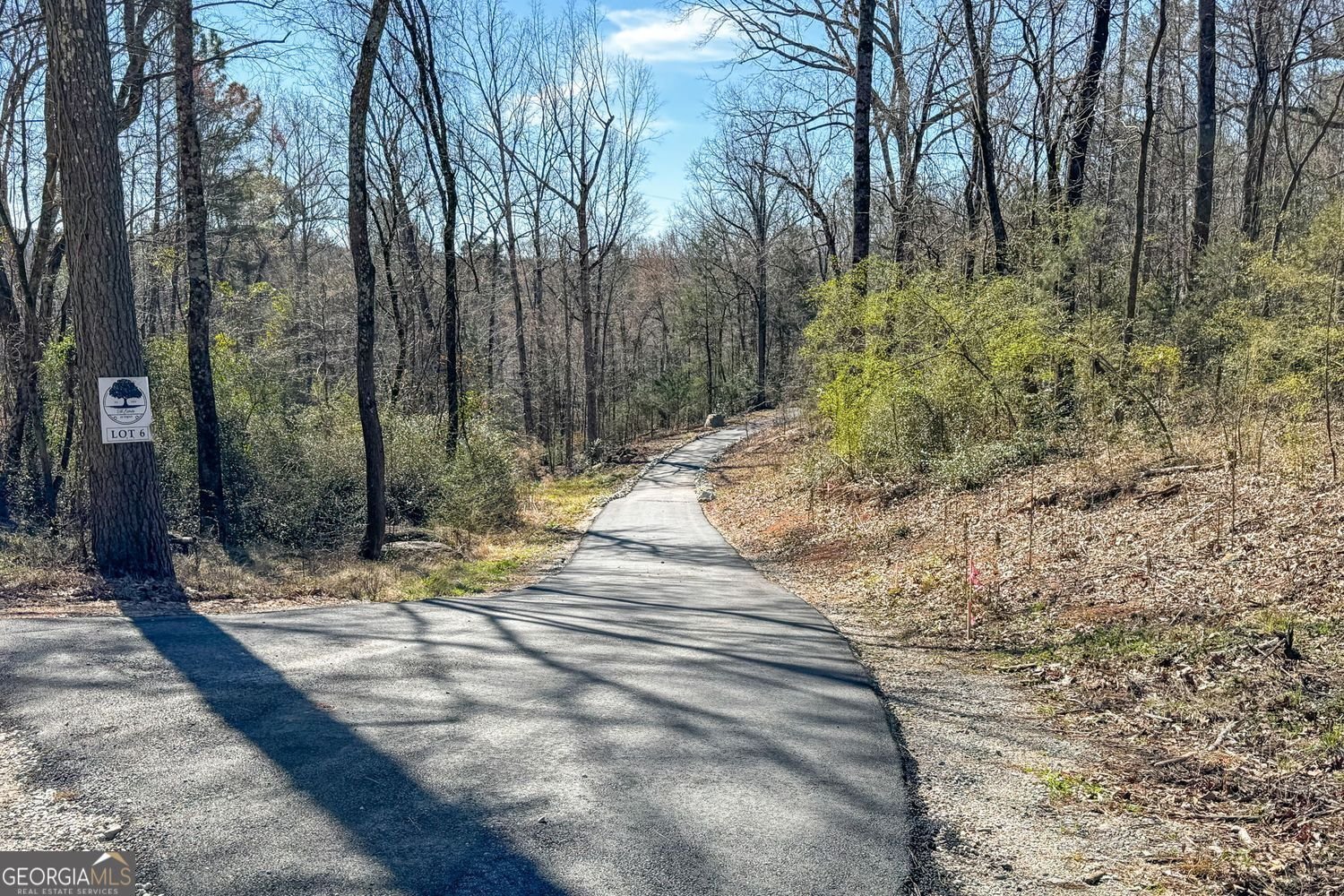 1578 English Road Forsyth - Photo 39