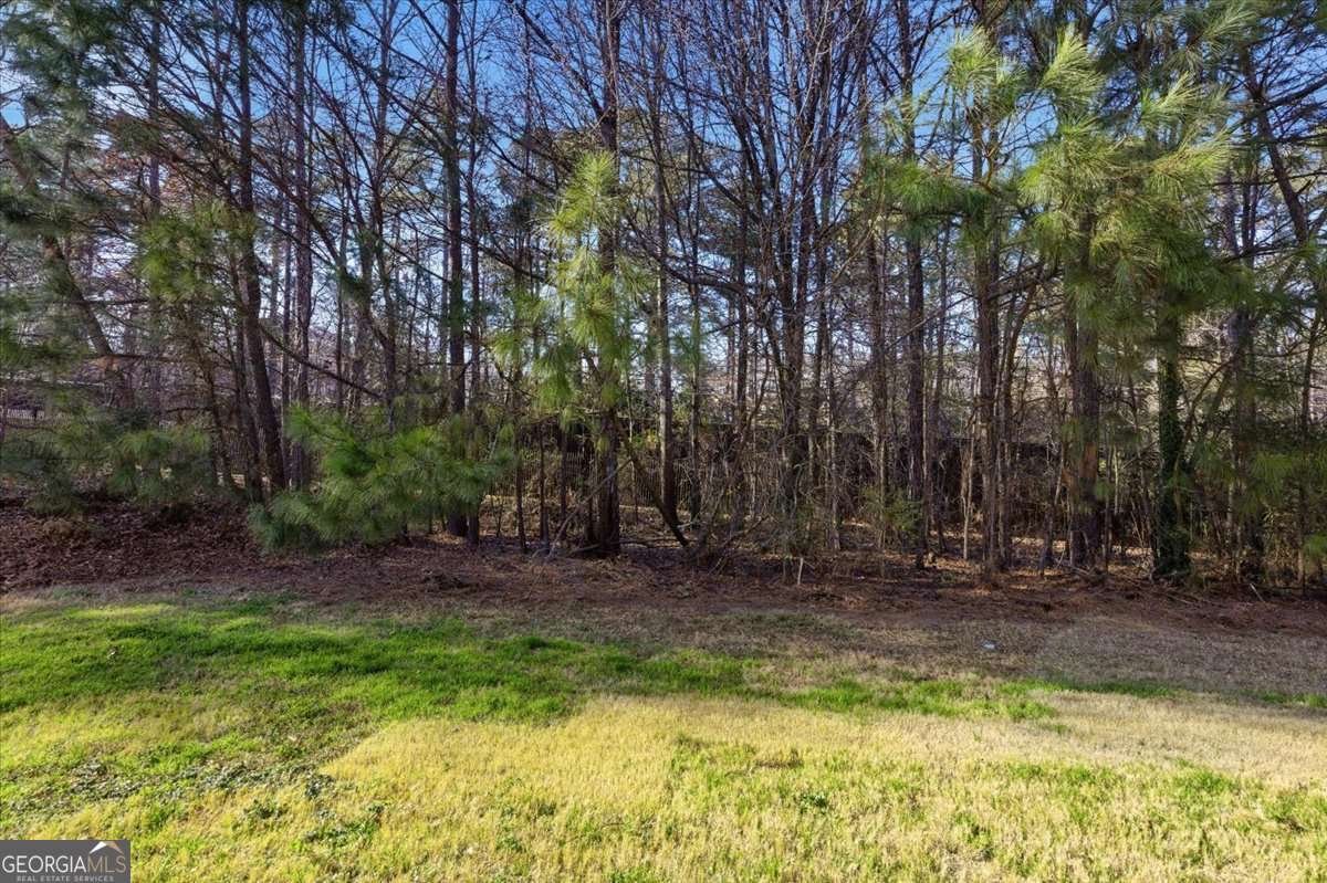 574 Leaflet Ives Drive Lawrenceville - Photo 36