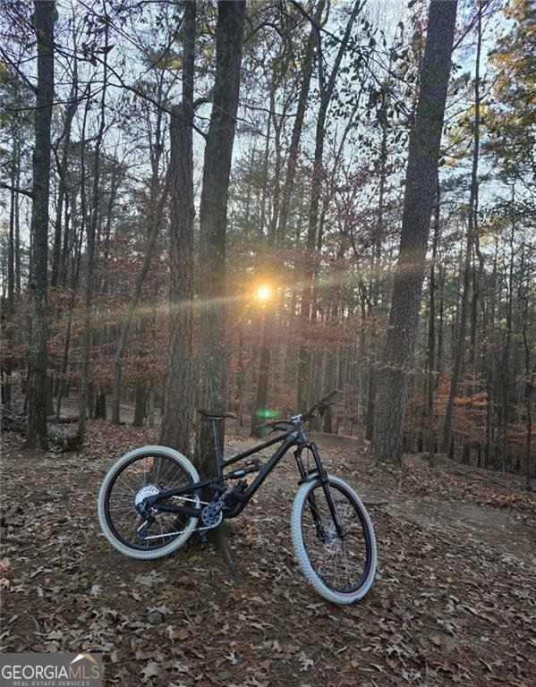 385 Tyson Circle Roswell - Photo 30