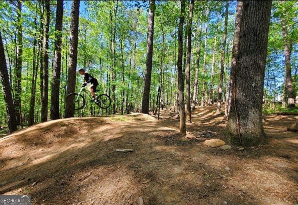 385 Tyson Circle Roswell - Photo 31