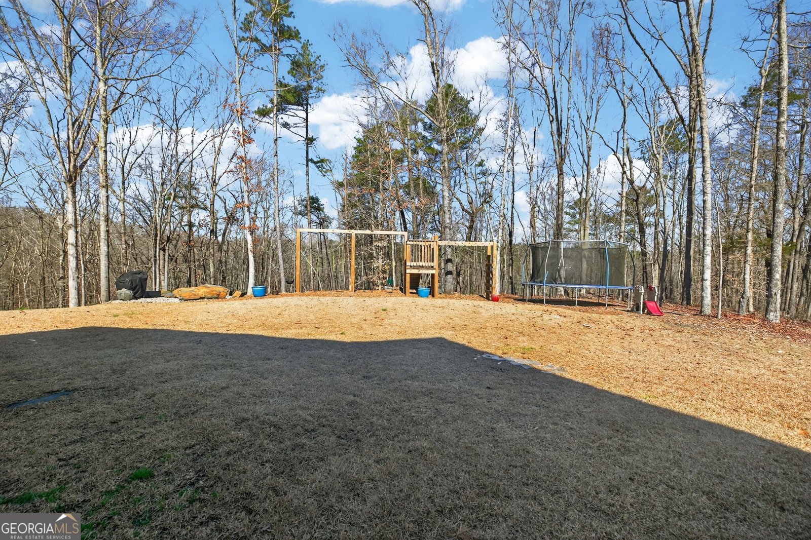 433 Old Roanoke Road Bowdon - Photo 43