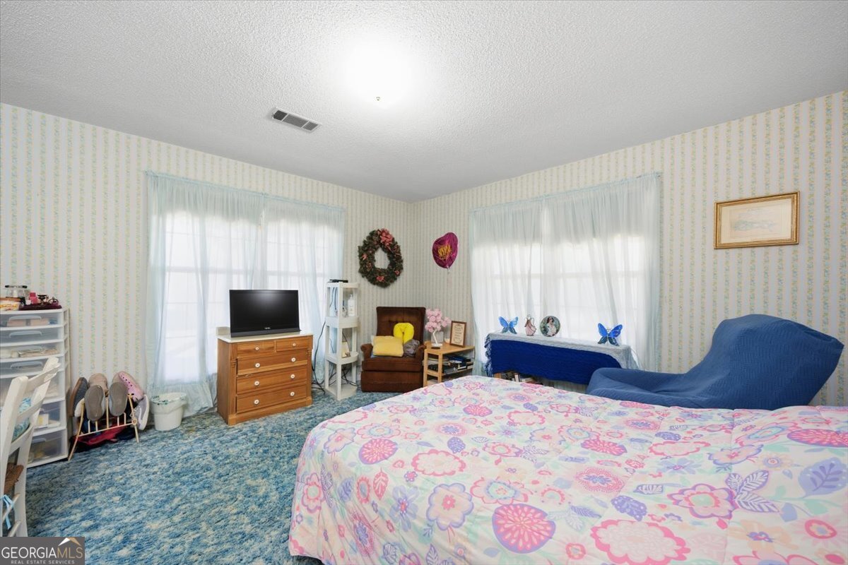 146 Mooring Road Hawkinsville - Photo 58