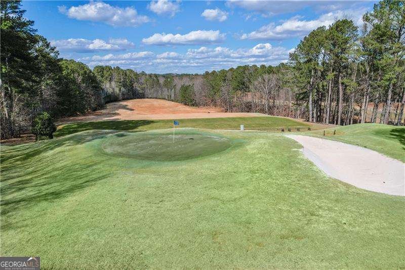 3220 Eagle Watch Drive Woodstock - Photo 50