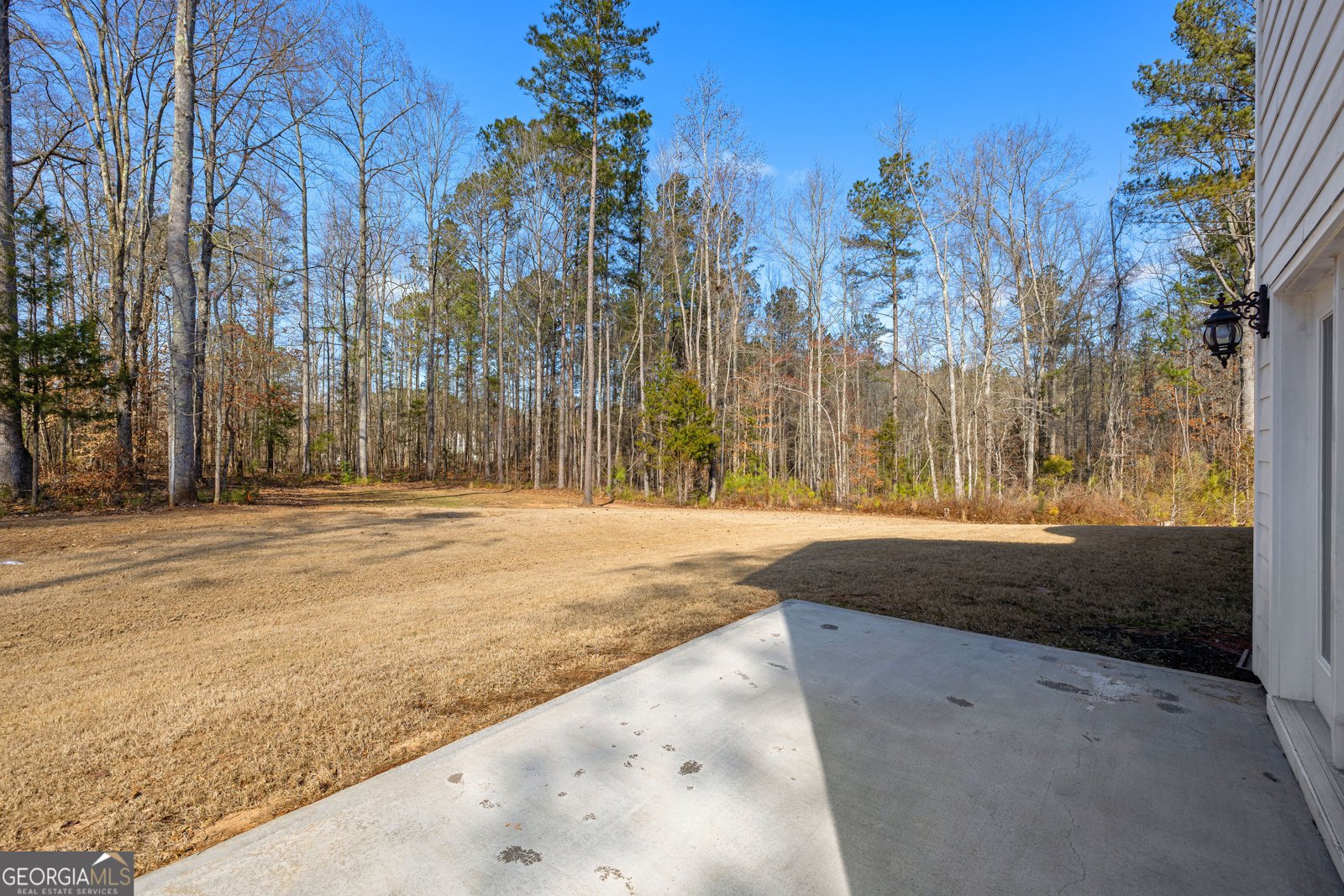 165 Durham Estates Drive Sharpsburg - Photo 46