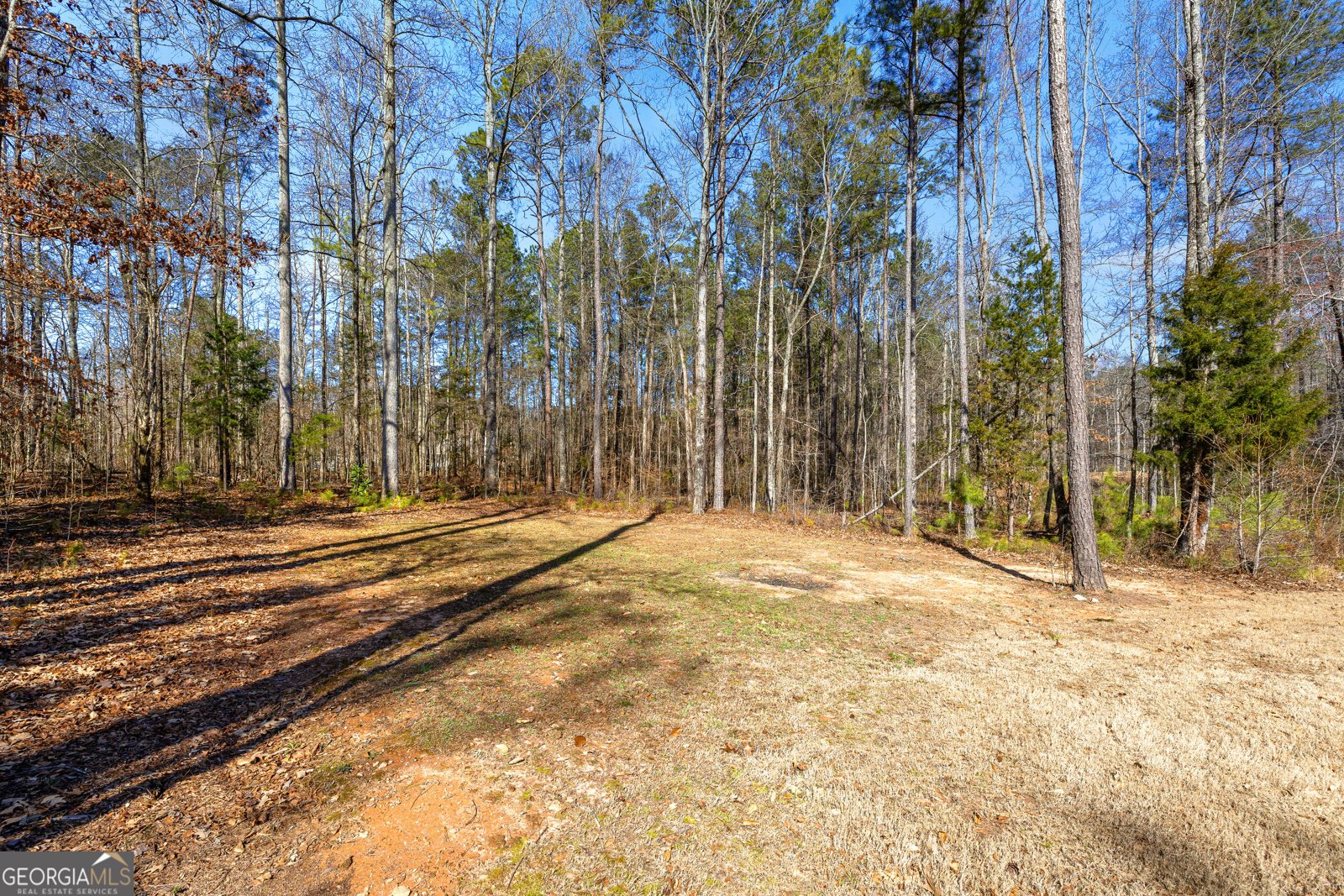 165 Durham Estates Drive Sharpsburg - Photo 49