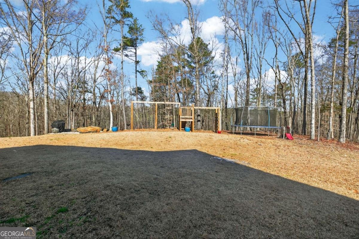 433 Old Roanoke Road Bowdon - Photo 38