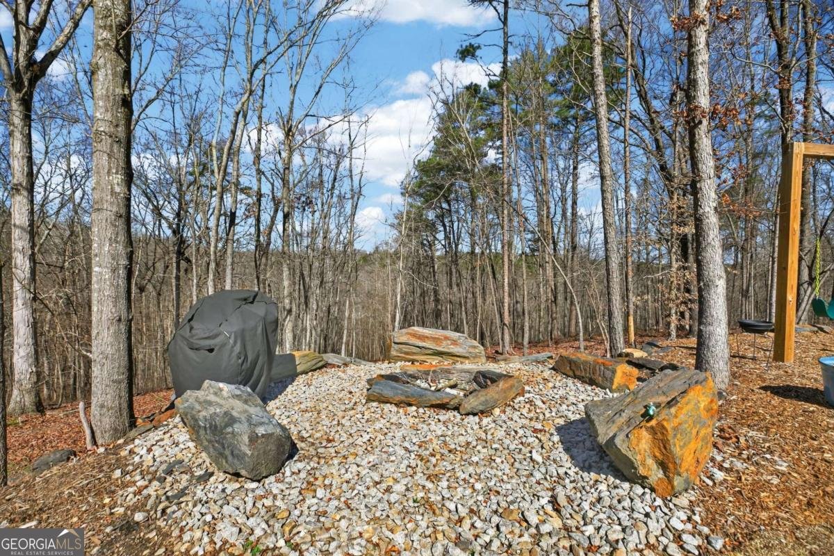 433 Old Roanoke Road Bowdon - Photo 39