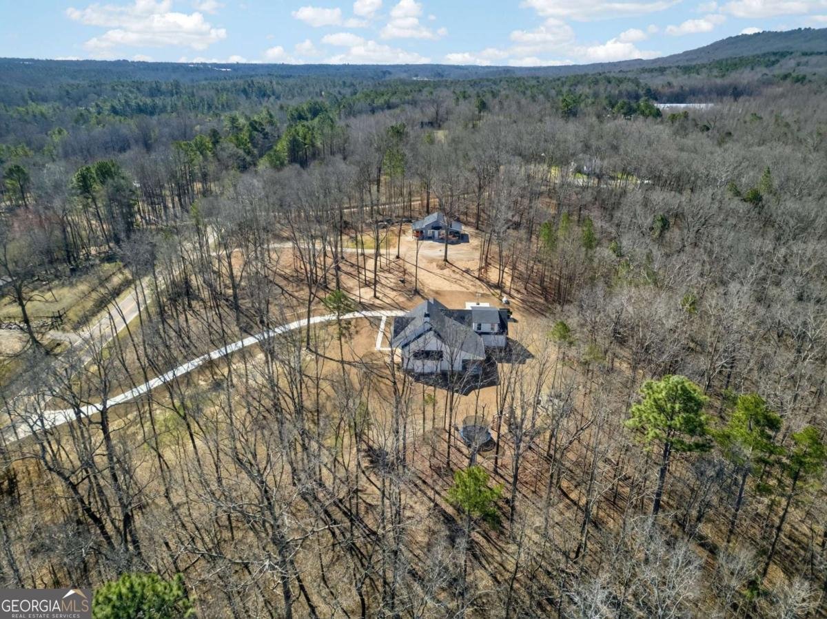 433 Old Roanoke Road Bowdon - Photo 48