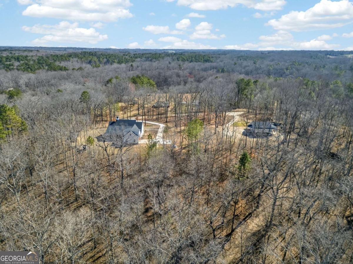 433 Old Roanoke Road Bowdon - Photo 49