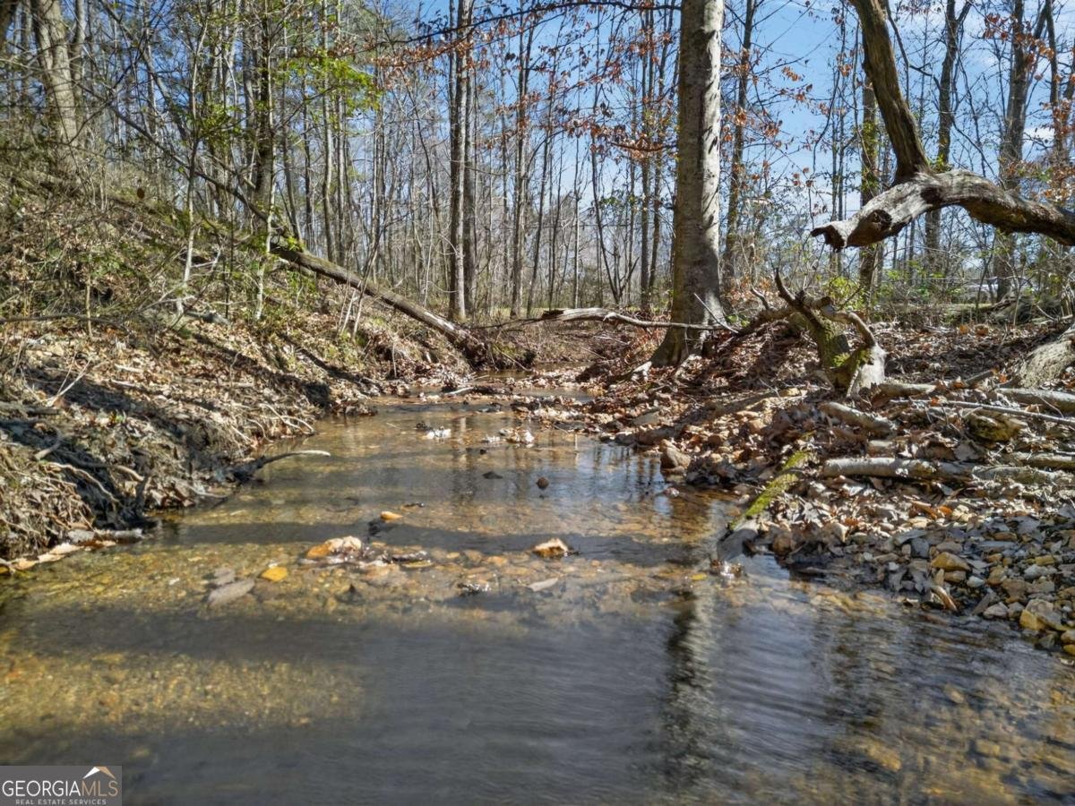 433 Old Roanoke Road Bowdon - Photo 52