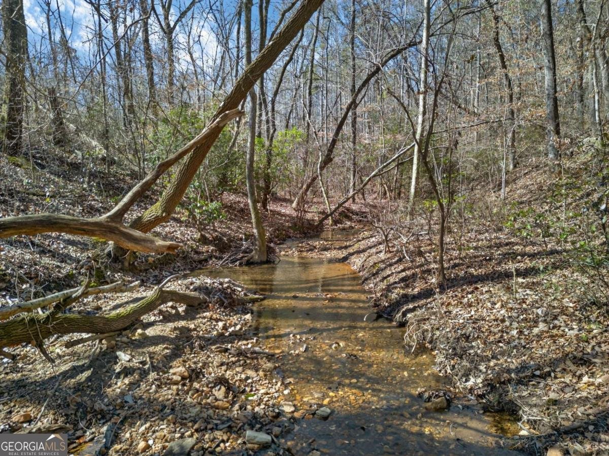 433 Old Roanoke Road Bowdon - Photo 53