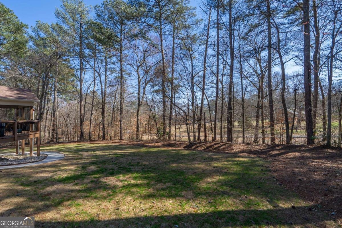 2060 Lyda Lane Loganville - Photo 65