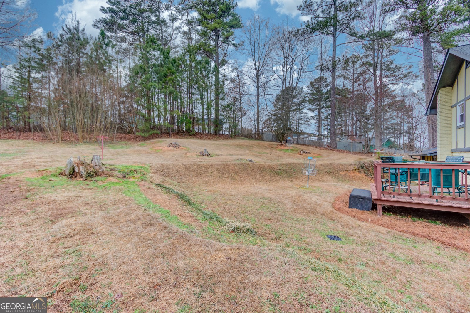 910 Timber Lake Drive Cumming - Photo 41