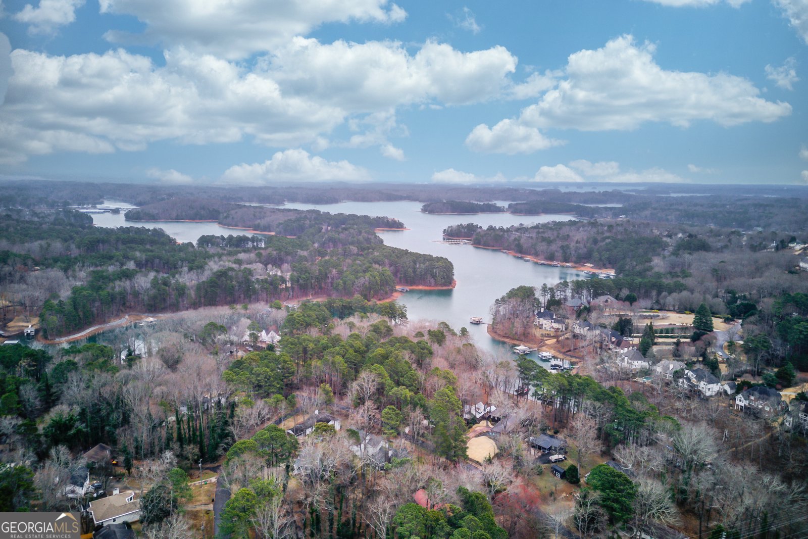 910 Timber Lake Drive Cumming - Photo 47