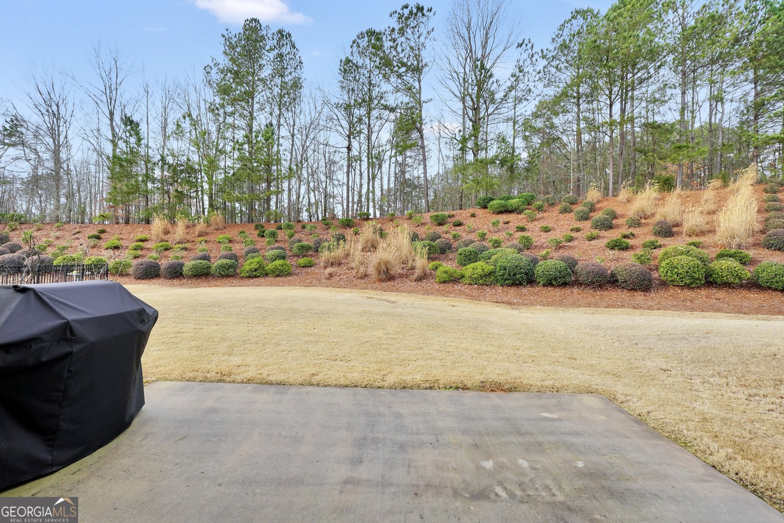 154 Begonia Court Griffin - Photo 52