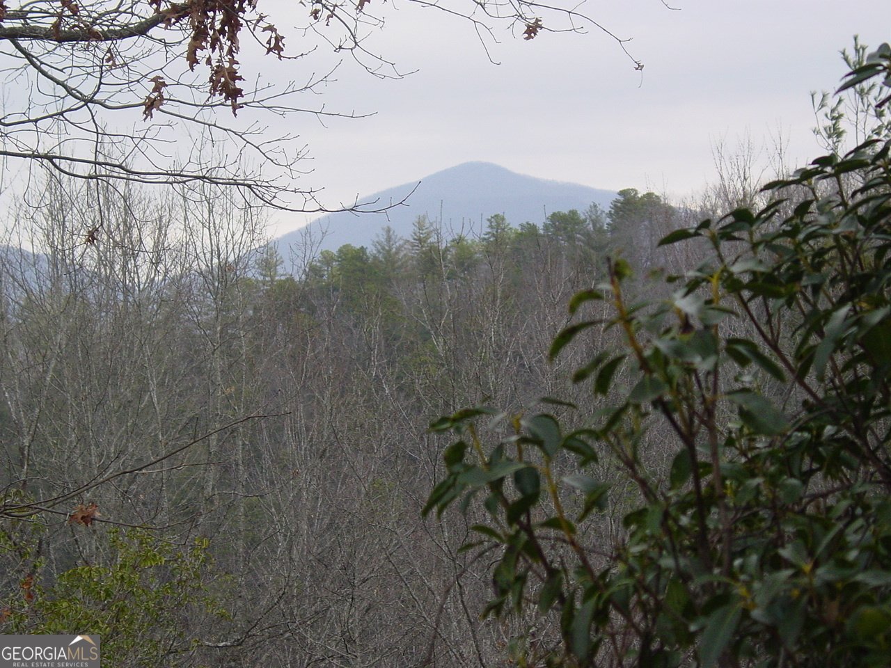 4184 Ridgecrest Trail Hiawassee - Photo 6