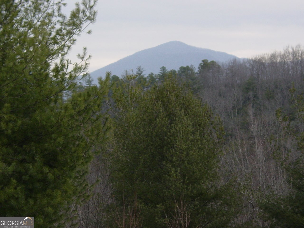 4184 Ridgecrest Trail Hiawassee - Photo 7