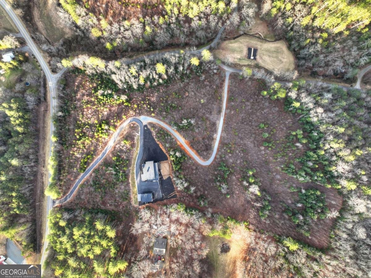 156 Coles Crossing Road Mineral Bluff - Photo 94