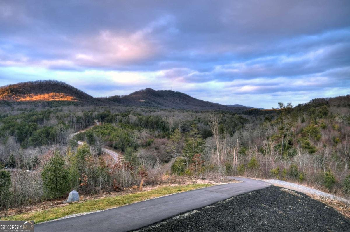 156 Coles Crossing Road Mineral Bluff - Photo 96