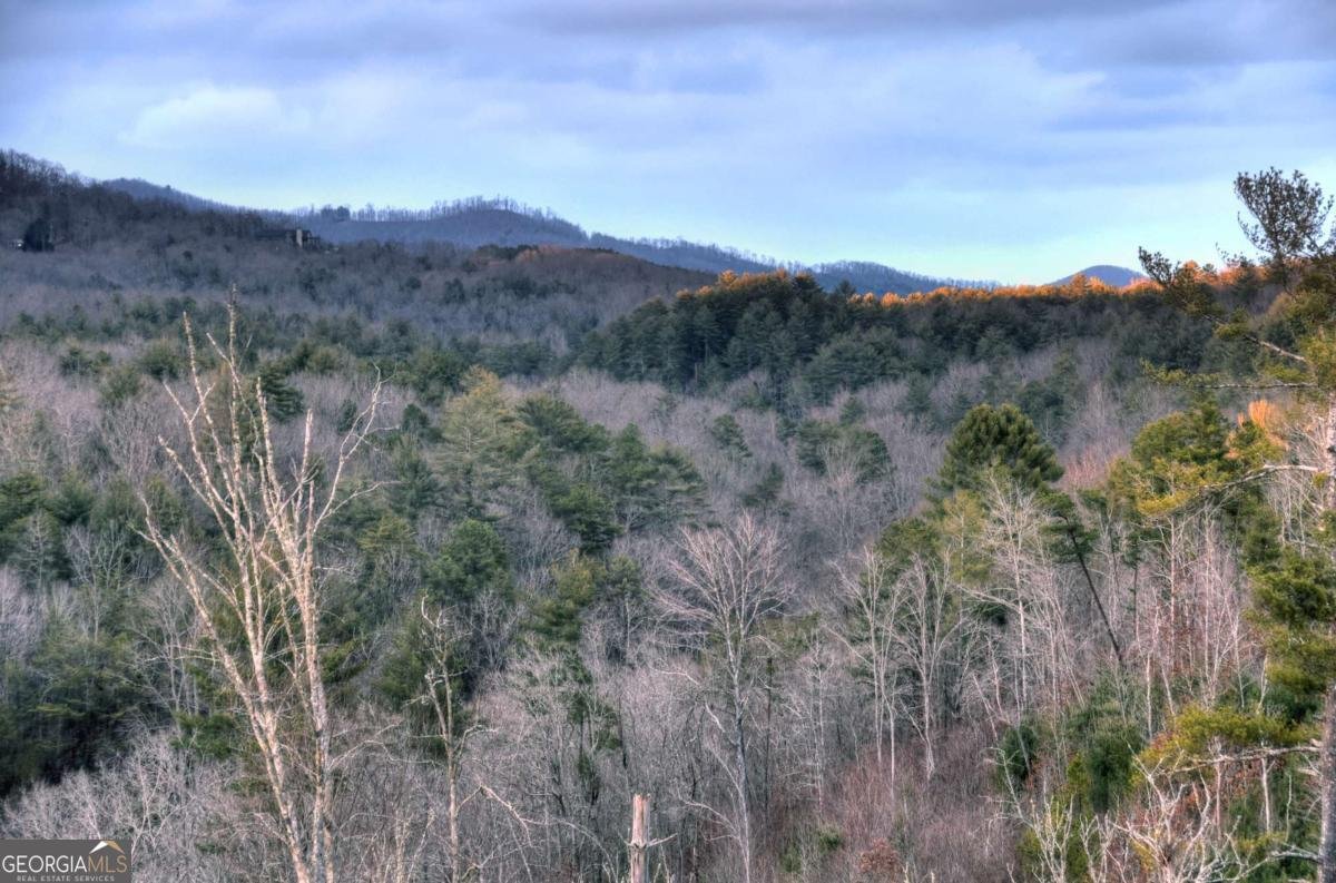 156 Coles Crossing Road Mineral Bluff - Photo 97