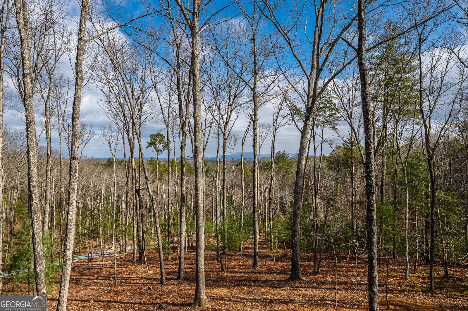 345 Big Oak Lane Blue Ridge - Photo 55