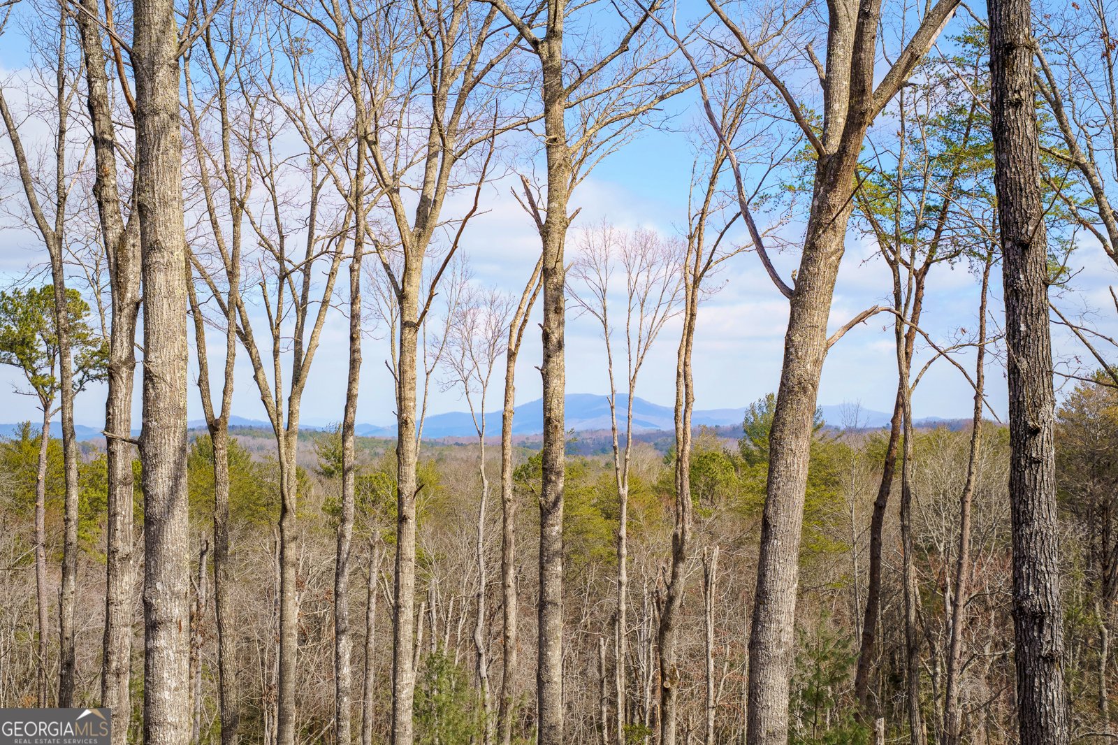 345 Big Oak Lane Blue Ridge - Photo 59