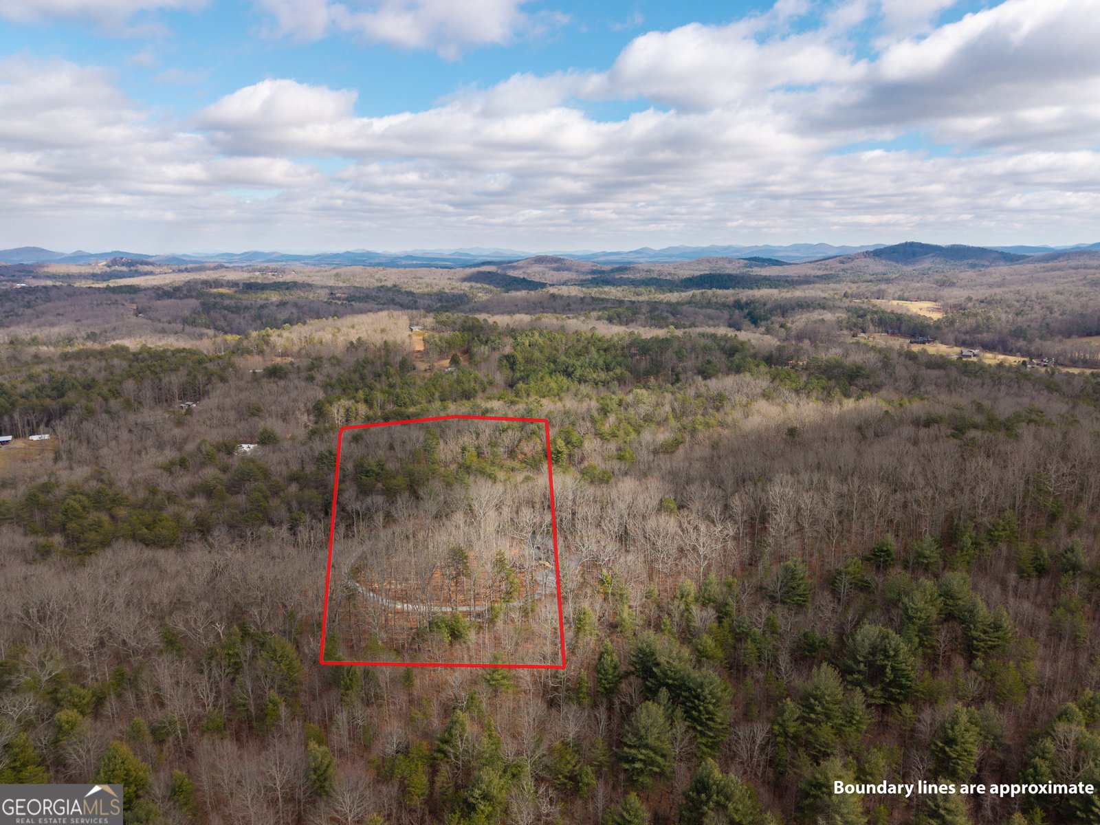 345 Big Oak Lane Blue Ridge - Photo 68