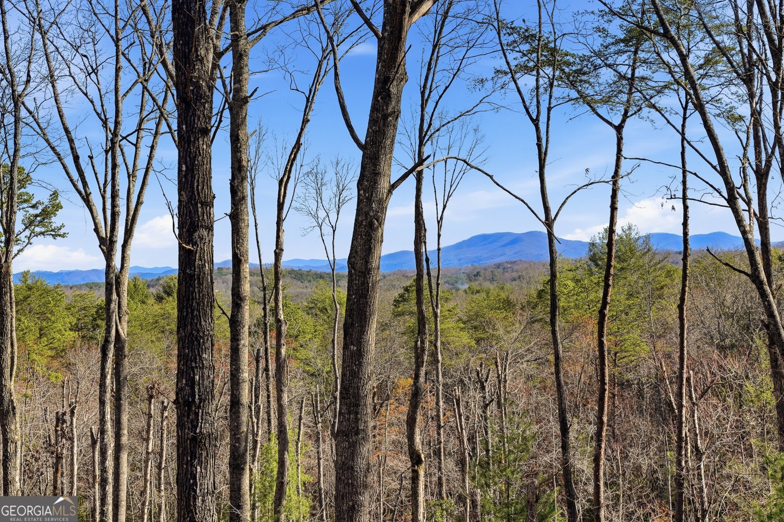 345 Big Oak Lane Blue Ridge - Photo 84