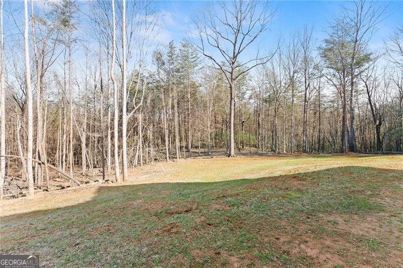 1750 Panorama Drive Sautee Nacoochee - Photo 40