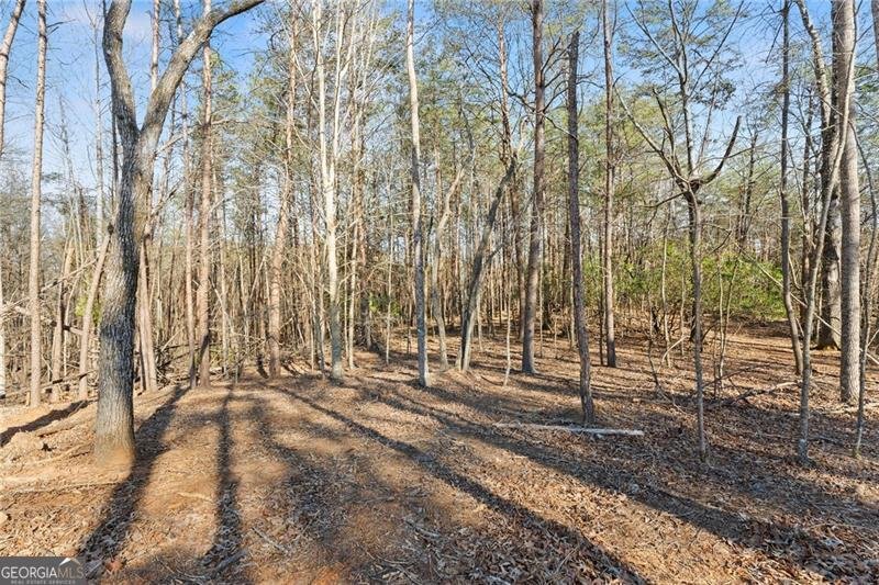1750 Panorama Drive Sautee Nacoochee - Photo 45