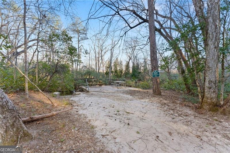 1750 Panorama Drive Sautee Nacoochee - Photo 46