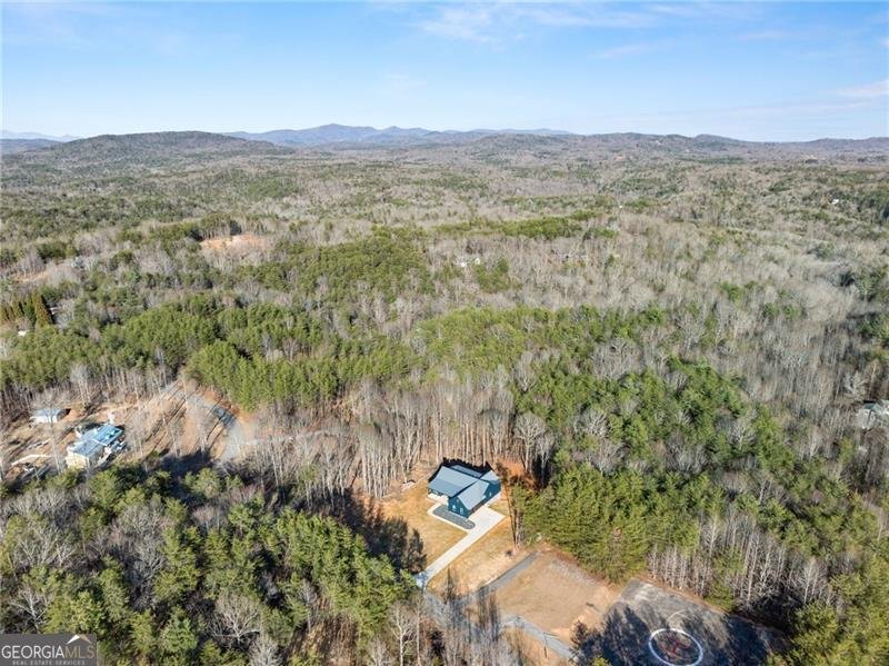 1750 Panorama Drive Sautee Nacoochee - Photo 49