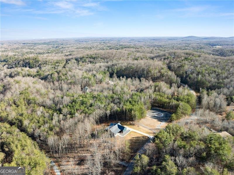 1750 Panorama Drive Sautee Nacoochee - Photo 51