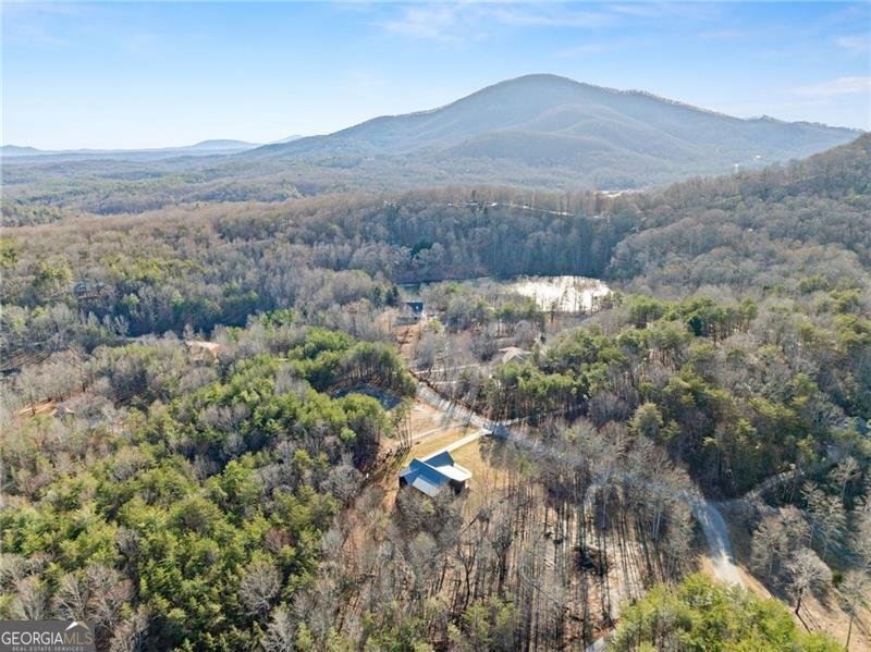 1750 Panorama Drive Sautee Nacoochee - Photo 52