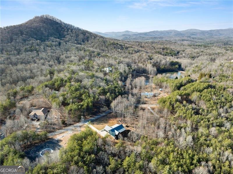 1750 Panorama Drive Sautee Nacoochee - Photo 55